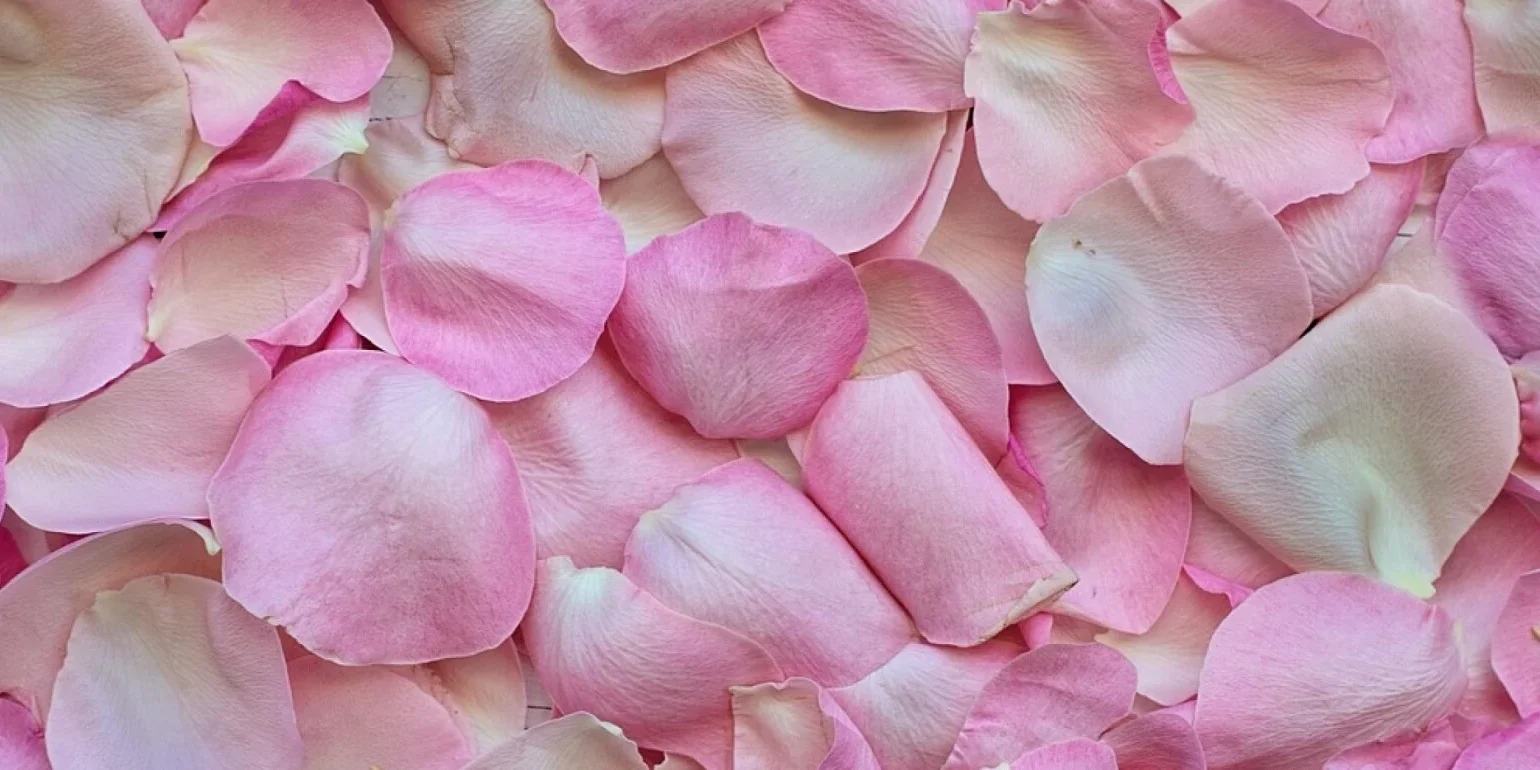 g29e298a78ebe8d14dbe0814f1562242bb055c37d7f42e026dd5bcb83d40ec4f215da5981e2588e21d71ab084f5b59229d5f57f9cde5cd77b64cb7961535b4f39_1280-2560x1100_1791_770