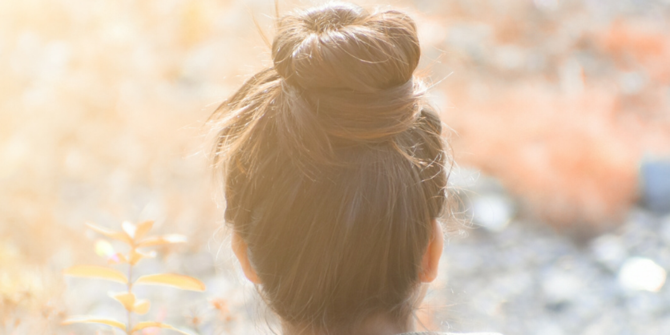 untitled-design-14-2558x1100